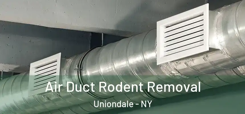 Air Duct Rodent Removal Uniondale - NY
