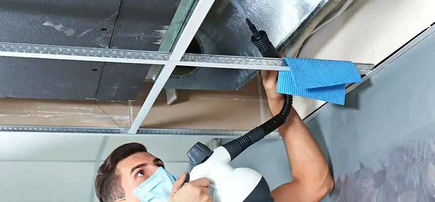 Our Air Duct Rodent Removal Services in Uniondale, NY