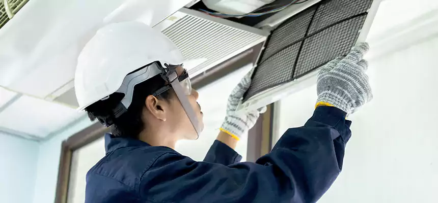 Our Mold & Mildew Removal from Air Ducts Services in Uniondale, NY