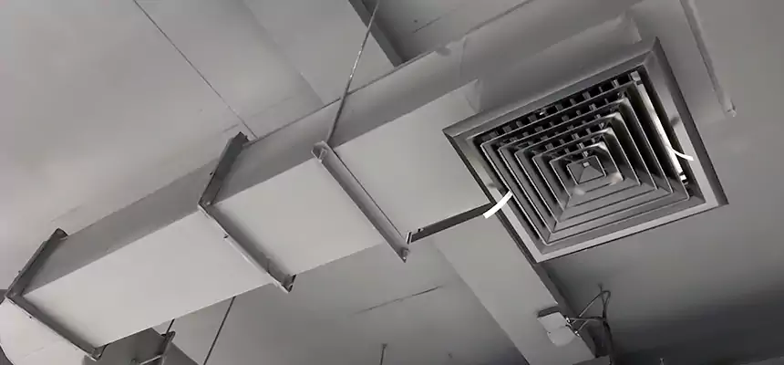 Our Pest Removal From Ducts Services in Uniondale, NY