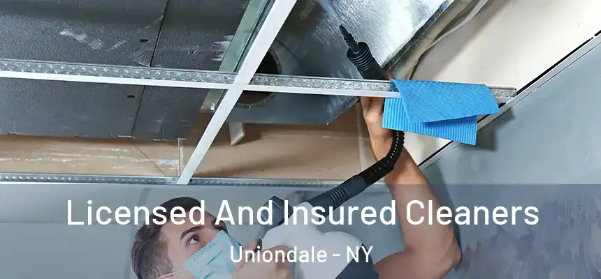 Licensed And Insured Cleaners Uniondale - NY