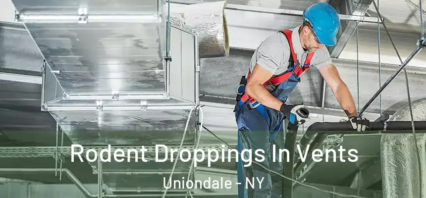 Rodent Droppings In Vents Uniondale - NY