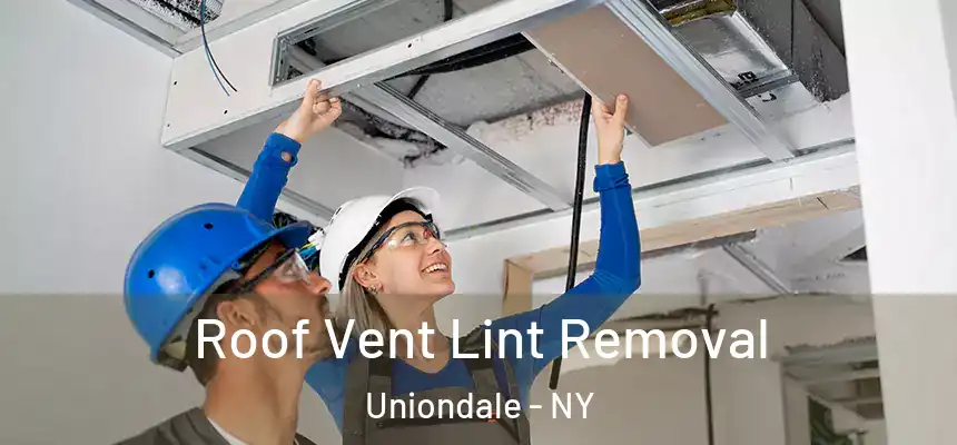 Roof Vent Lint Removal Uniondale - NY