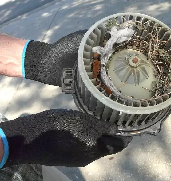 About Air Duct Mice Removal in Uniondale, NY