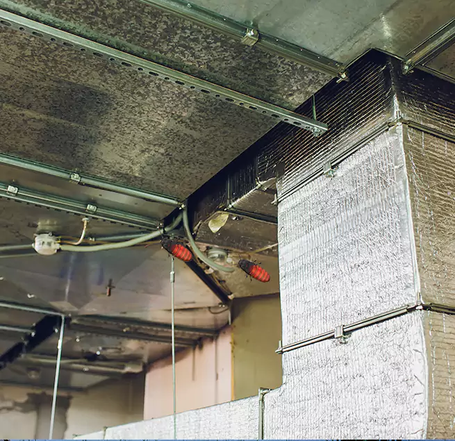 Why Homeowners & Businesses Trust Us in Uniondale, NY?