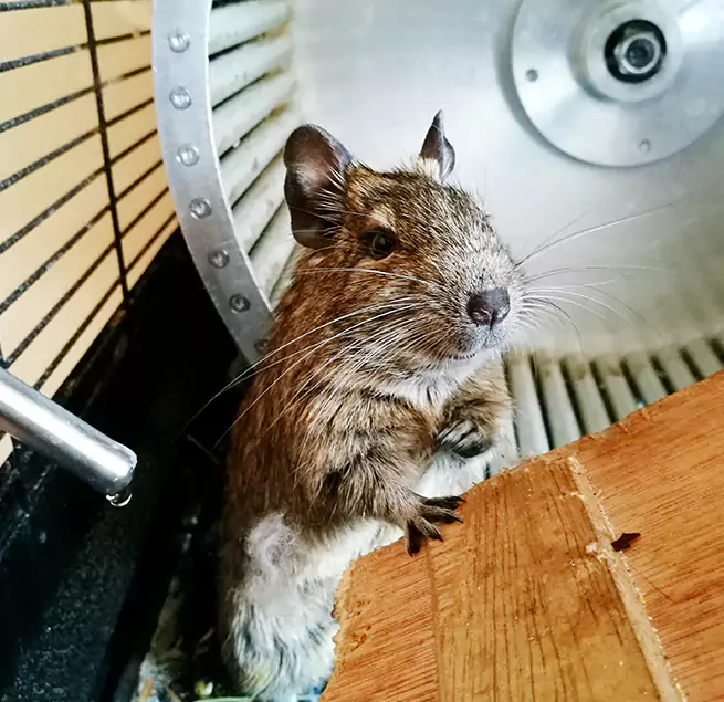 Why Homeowners & Businesses Trust Us Uniondale, NY?