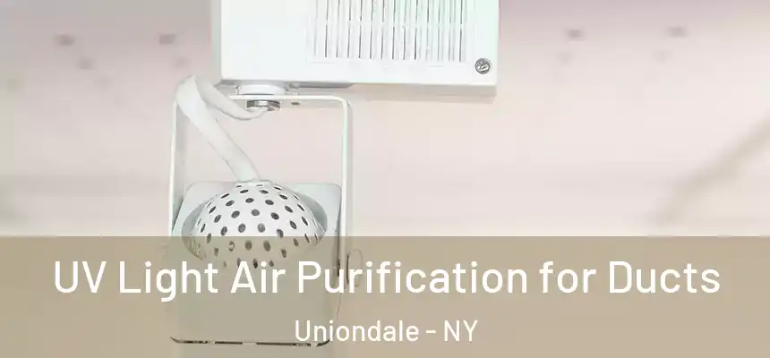  UV Light Air Purification for Ducts Uniondale - NY